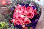 IMG_0928