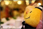 IMG_0952