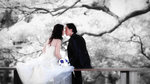 IMG_2111(white)