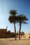 Karnak Temple 08
