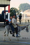 Egyptian01