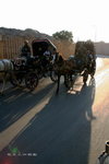 CarsInCairo17