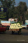 CarsInCairo33