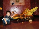 IMG_3320a