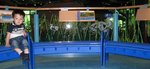 IMG_3386a
