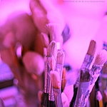 Fotanian Creative 01
