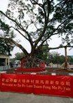 Lam Village 14
