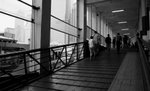 IMG_7864a