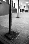 IMG_7876a