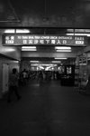 IMG_7933a