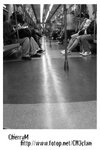 19052005 017