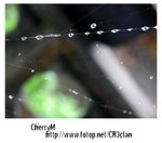 09052005 009