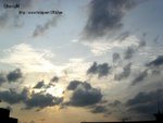 050505 023a