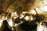 DSCF0375