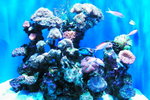 DSCF0495
