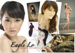 Eagle_ComCard_Hstyle2