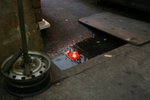 IMG_0921