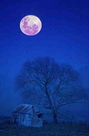 BLUEMOON2_resize