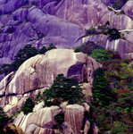 Huangshan-mount14