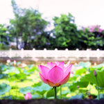 Untitled-2
