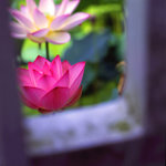 Untitled-4