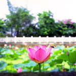 Untitled-5