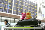 �h�̨̤ۨ���?�߱��h����check-in