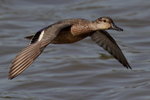 IMG_1665