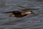 IMG_1666