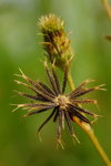 5D2_9722