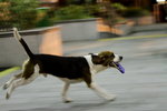 7D_0396_B