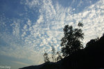 DSCF4809