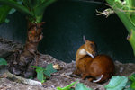 PICT5091