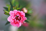 PICT5151