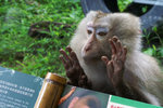 PICT5162