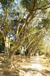 DSC00389_2