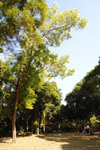 DSC00402_2