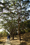 DSC00405_2