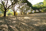 DSC00421_2