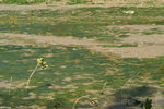 PICT7073_2
