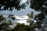 PICT7112_2