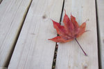 DSCF6889_2