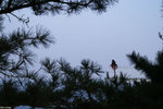 PICT6214_2