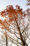 PICT6226_2