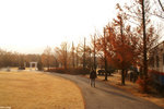 PICT6230_2