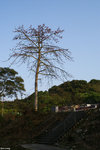 PICT7907_2