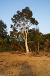 PICT7913_2