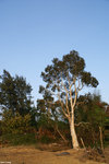 PICT7914_2