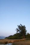 PICT7936_2
