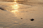 PICT7958_2